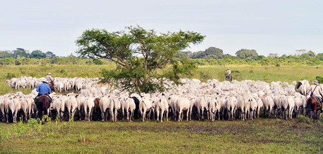 Incidencia y articulación