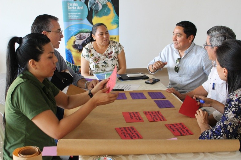 Comisiones de trabajo técnicas de la Alianza Eco Ganadera Beni