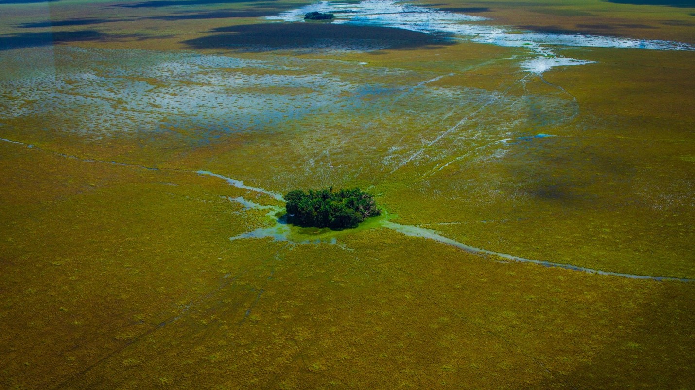 Alturas en las Pampas del Beni