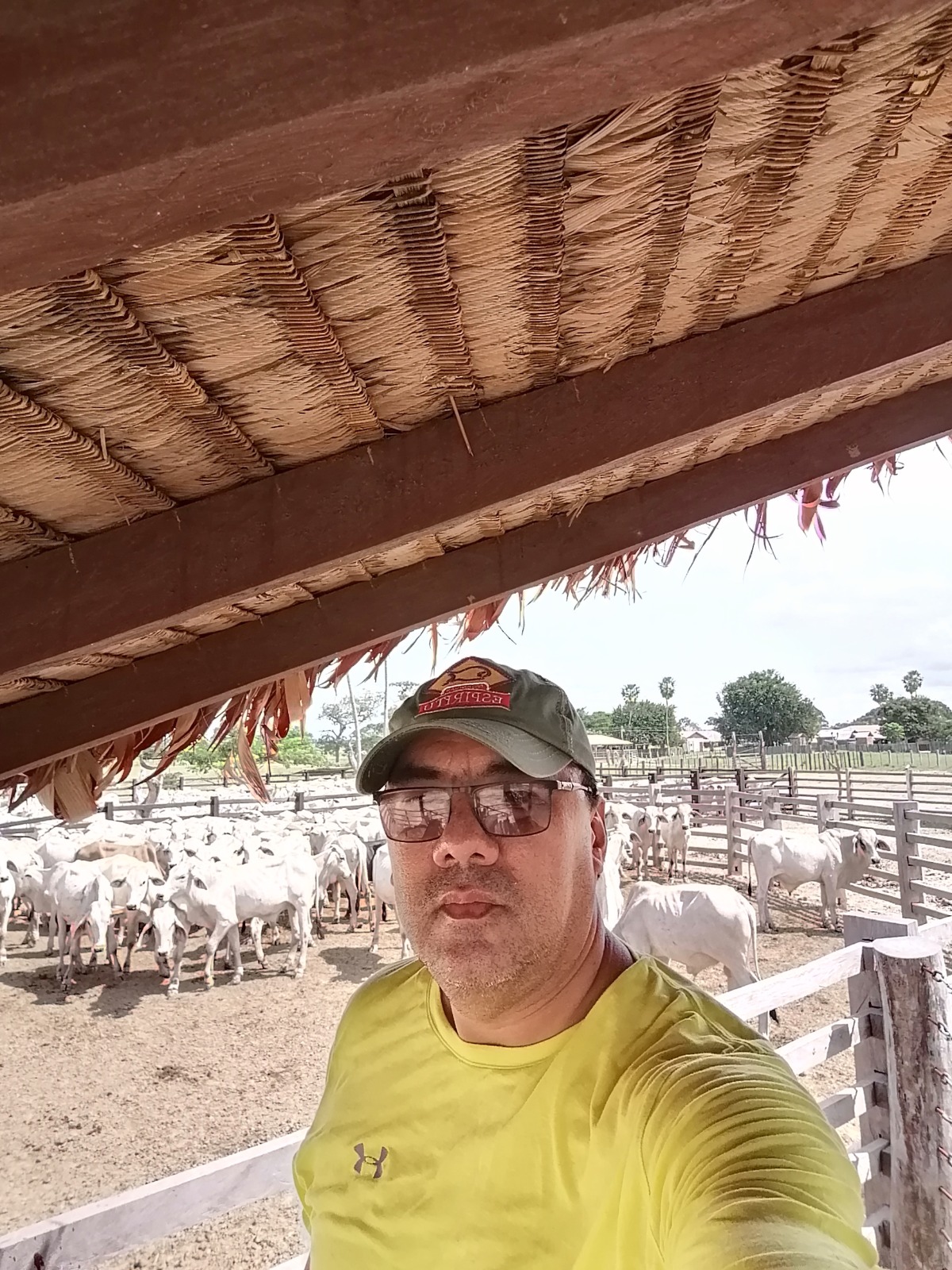 Carlos Peñaranda